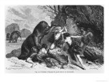 Man at the Time of the Bear and the Mammoth  Illustration from L'Homme Primitif by Louis Figuier