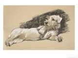 Terrier Detail  1930  Just Among Friends  Aldin  Cecil Charles Windsor
