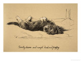 Rough Daschund Puppy Detail  1930  IllJust Among Friends  Aldin  Cecil Charles Windsor
