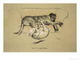 D-Nation  1930  1st Edition of Sleeping Partners