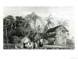 Interior of Pitcairn Island  1831