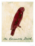 The Crimson Bird  from Sixteen Drawings of Comic Birds