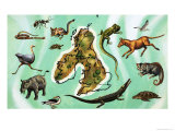 Unidentified Montage of Animals Around Map of Great Britain