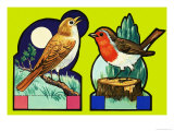Cut Out Images of a Nightingale and Robin