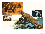 Dinosaurs and Skeletons Stegasaurus and Tyranosaurus
