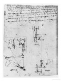 Codex Forster III  1480S-1494