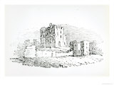 Castle Ruins from History of British Birds and Quadrupeds