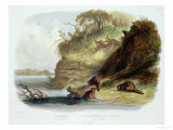 Beaver Hut on the Missouri  Plate 17  Travels in the Interior of North America