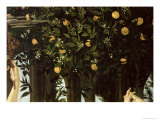 Primavera  Detail of the Orange Tree  c1478
