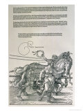 Triumphal Chariot of Emperor Maximilian I of Germany