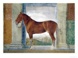 Sala Dei Cavalli  Chestnut Horse from the Stables of Ludovico Gonzaga III of Mantua  1528
