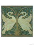 Wallpaper Design For Panel of Swan  Rush and Iris