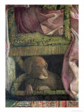 Rubino  Favourite Dog of Marchese Ludovico Gonzaga III of Mantua  Camera Picta  1465-74