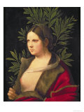 Portrait of a Young Woman