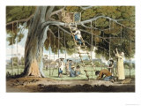 Offering of First Fruits to the God Fo  Plate 16 from A Voyage to Cochinchina by John Barrow