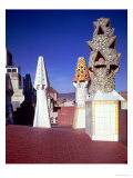View of the Chimneys on the Eastern Sector of the Roof of the Palace  1885-89