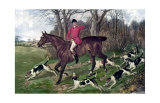 Horse Fox Hunt I