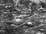 Dead Soldier at Little Round Top  Battle of Gettysburg  1863