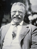 President Theodore Roosevelt  c1917