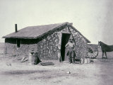 Typical Prairie Sodhouse  Wichita County  Kansas  c1880