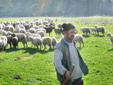 A Shepherd Stands by His Sheep in Miclosoara  Romania  October 2006