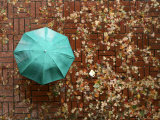 Wet Leaves are Scattered Over Sidewalk Bricks as a Pedestrian Walks by with a Colorful Umbrella