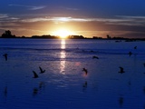 The Sun Sets as Sea Gulls Flies Over Flooded Argentina's Pampas