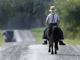 With a Buggy Approaching in the Distance  an Amish Boy Heads Down a Country Road on His Pony
