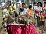 Tourists Gather to Watch Long-Tailed Macaques During an Annual Festival to Honor Them
