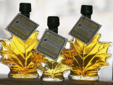 Bottles of Maple Syrup at the Morse Farm Store in East Montpelier  Vermont  February 6  2006