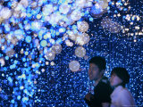 A Couple Goes Through the Sea of Illumination  Tokyo's Business District of Shiodome Dec 1  2006