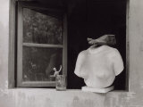 Still-Life