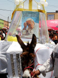 The Residents of Otuma  Mexico Decorate a Donkey with a Popemobile