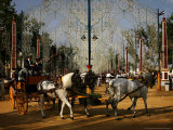 Spanish People in Traditional Costume Ride on a Horse-Drawn Carriage