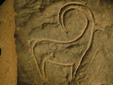 Nubian Ibex Carving  Nubian Museum  Aswan  Egypt