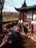 A Moat Curves Around the Edge of the New York Chinese Scholar's Garden