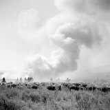 Cowboys of the Bannock Shoshone are Working Hard to Keep Ahead of This Prairie Fire