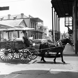 A Horse-Drawn Vegetable Cart Travels Through a Quiet Section of the French Quarter