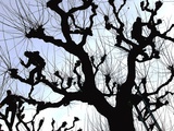 Workers Cuts Young Sprouts from a Plane Tree at an Avenue at the River Main