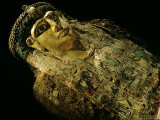 Mummy A with Gilded Mask and Cartonnage Chest Plate  Valley of the Golden Mummies  Egypt