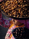 Dates  Sakkarra  Saqqara  Egypt
