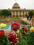 Flowers of the Mughal Gardens Bloom