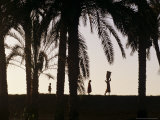 Children Carry Produce Along Palm Lined Irrigation Canal  Valley of the Kings  Nile  Egypt