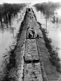 A Trainload of Sandbags is Transported to Line the Mississippi Mainline Levees