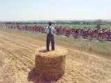A Lone Spectator Watches the Pack Ride by from the Top of a Bale of Hay