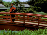 Bridge  Japan