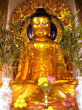 Golden Buddha in Sha Tin Cemetery  Hong Kong  China