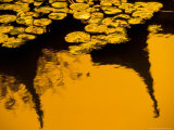 Lily Pond and Temple Reflection in Humble Administrators Garden  Suzhou  Jiangsu  China