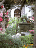 Caged Songbird Hangs in Administrator's Garden  Suzhou  Jiangsu Province  China