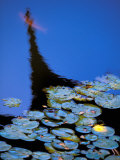 Lily Pond and Temple Reflection in Humble Administrators Garden  Suzhou  Jiangsu  China